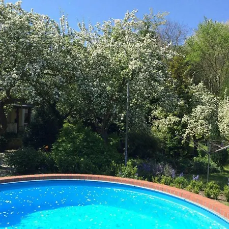 Hagenwinkel Gernrode (Saxony-Anhalt)