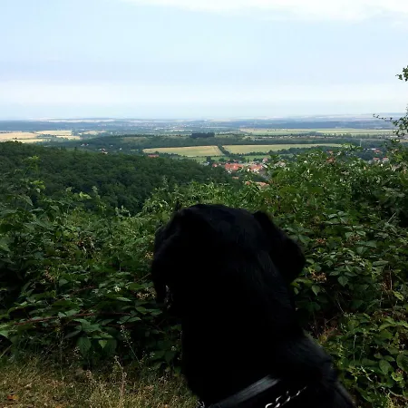 Hagenwinkel 펜션 *