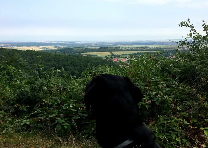 Hagenwinkel Feriehus *